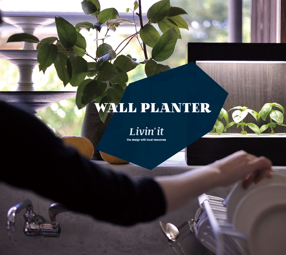 Wall planter 6 m