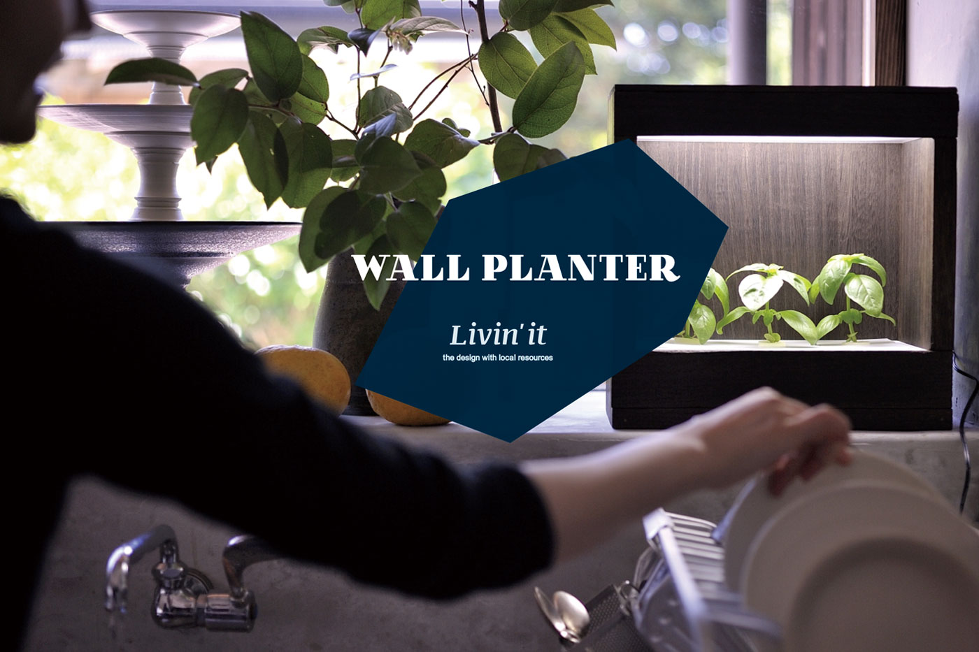 Wall planter 6